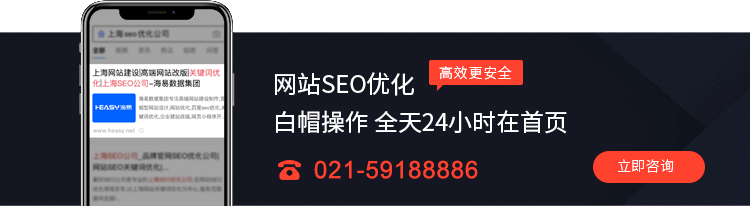 网站SEO优化咨询热线
